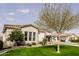 Spacious front yard featuring lush green grass, a mature tree, and manicured shrubs at 3392 E Gemini Ct, Chandler, AZ 85249