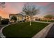 Expansive front yard with a well-manicured lawn and mature tree accentuating the home's curb appeal at 3392 E Gemini Ct, Chandler, AZ 85249