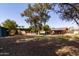 Expansive backyard with mature trees providing shade and a peek at the pool and covered patio at 3419 E Cholla St, Phoenix, AZ 85028