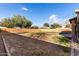 Expansive backyard featuring a brick wall, string lights, and plentiful space at 3424 E Flamingo Ct, Gilbert, AZ 85297