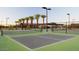 Well-maintained pickleball courts with professional surfacing, surrounded by lush landscaping and palm trees at 39174 N Kaden Ln, San Tan Valley, AZ 85140