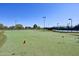 Putting green with flags, golf course and tennis court in the background at 42808 W Whimsical Dr, Maricopa, AZ 85138