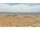 Expansive desert landscape with rocky terrain, distant mountains, and a vast open sky at 740 W Patrick Pl, San Tan Valley, AZ 85143