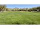 Well-maintained community park with lush green grass at 9282 E Desert Vw, Scottsdale, AZ 85255