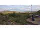 Scenic vista overlooking the Phoenix valley with mountains in the background and native vegetation at 10410 N Cave Creek Rd # 1032, Phoenix, AZ 85020