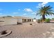 The backyard features desert landscaping, a palm tree, and a covered patio, perfect for entertaining at 14215 N Boswell Blvd, Sun City, AZ 85351