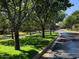 Scenic tree-lined street with lush green lawns, creating a peaceful and inviting neighborhood atmosphere at 20646 W Delaney Dr, Buckeye, AZ 85396