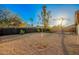 Spacious backyard with desert landscaping, new trees, and secure wood perimeter fence at 331 W Stanford Ave, Gilbert, AZ 85233