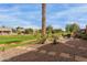 Manicured backyard featuring a beautiful lawn, desert landscaping, and a seating area at 42368 W North Star Dr, Maricopa, AZ 85138