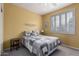 Comfortable bedroom with a decorative quilt, plantation shutters, and ample natural light at 42368 W North Star Dr, Maricopa, AZ 85138