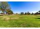 Expansive green space with scattered trees, creating a perfect spot for picnics and outdoor activities at 6494 W Matilda Ln, Glendale, AZ 85308