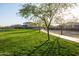 Lush green space with manicured lawn and trees at 6926 W Spur Dr, Peoria, AZ 85383