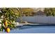 Backyard pool with fruit tree and white fencing in background at 7819 N 17Th Ave, Phoenix, AZ 85021