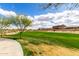 Expansive green space with lush grass and mature trees in a well-maintained community at 8740 W San Miguel Ave, Glendale, AZ 85305