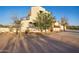 Exterior view of a desert home with stucco walls, trees, desert landscaping, and a stone privacy wall at 10303 E Hummingbird Ln, Gold Canyon, AZ 85118