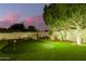 Backyard putting green with well-manicured artificial turf and string lights on a large tree at 10534 N 133Rd St, Scottsdale, AZ 85259