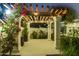 Backyard patio pergola with mature flowering vines and decorative white columns at 10534 N 133Rd St, Scottsdale, AZ 85259