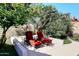 Private backyard nook with citrus trees, mature palms, and lounge chairs at 10572 E Tierra Buena Ln, Scottsdale, AZ 85255