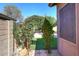 Beautiful backyard with a lush green garden and a lovely vine-covered archway feature at 10572 E Tierra Buena Ln, Scottsdale, AZ 85255
