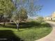 Expansive community green space with mature trees and walking path, perfect for outdoor activities at 1304 S Owl Dr, Gilbert, AZ 85296