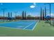 Outdoor pickleball court with shade covers surrounded by greenery and lights at 13616 W Junipero Dr, Sun City West, AZ 85375