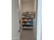 Organized pantry features stocked shelves with ample storage for food items and household supplies at 29606 N Tarragona Dr, Peoria, AZ 85383