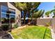 Well-maintained backyard with lush green grass, mature tree and privacy fence offers outdoor living space at 4531 W Flint St, Chandler, AZ 85226