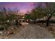 Long, private driveway with mature trees and desert landscaping at 10244 E Hualapai Dr, Scottsdale, AZ 85255