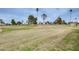 View of backyard onto a green golf course with scattered trees and blue sky at 10816 W Hatcher Rd, Sun City, AZ 85351