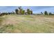 View of a well-maintained golf course with scattered trees and blue sky at 10816 W Hatcher Rd, Sun City, AZ 85351