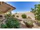 Lush backyard landscaping with mature plants, gravel, and block wall at 11046 E Naranja Ave, Mesa, AZ 85209