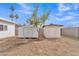 Image shows a backyard with storage sheds and a tree on a sunny day at 11430 N 57Th Dr, Glendale, AZ 85304