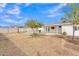 View of the backyard features a patio with a cover and a charming citrus tree at 11430 N 57Th Dr, Glendale, AZ 85304