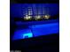 Swimming pool illuminated with blue lighting surrounded by an outdoor wall and shrubbery at dusk at 11612 W Candelilla Way, Peoria, AZ 85383