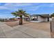 Single-story home with a carport, desert landscaping, concrete patio, and mature palm tree at 2570 W Scenic St, Apache Junction, AZ 85120