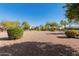 Backyard showcases neat desert landscaping, featuring mature trees, shrubs, and a low-maintenance gravel ground at 3191 N 160Th Ave, Goodyear, AZ 85395