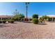 Front yard features well-manicured desert landscaping with mature trees, shrubs, and gravel creating a tranquil setting at 3191 N 160Th Ave, Goodyear, AZ 85395