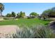 A lush backyard with a large grass area and mature trees at 5381 W Del Rio St, Chandler, AZ 85226