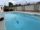 Inviting backyard pool with a spacious surrounding patio, ready for relaxation at 6437 W Devonshire Ave, Phoenix, AZ 85033