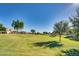 Expansive green space with mature trees and landscaping in a well-maintained community with attractive homes on a sunny day at 16532 W Rowel Rd, Surprise, AZ 85387
