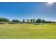 A well-manicured green space with trees offers a serene and picturesque view for the community at 16532 W Rowel Rd, Surprise, AZ 85387