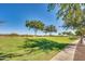 A lush green space with mature trees creates a park-like setting along a paved walking path at 16532 W Rowel Rd, Surprise, AZ 85387