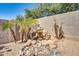 Backyard water feature with natural rock design and palm trees, enhancing the outdoor ambiance at 16532 W Rowel Rd, Surprise, AZ 85387