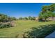 Picturesque community green space featuring lush grass, mature trees, and inviting landscaping at 16830 W Magnolia St, Goodyear, AZ 85338