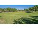 Expansive grassy open space surrounded by mature trees offers a serene community setting at 16830 W Magnolia St, Goodyear, AZ 85338