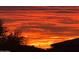 Gorgeous sunset and silhouette of tree and home at 2224 N 83Rd Cir, Mesa, AZ 85207