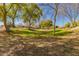 Expansive green space with mature trees, offering a serene and natural environment at 2263 E Jade Ct, Chandler, AZ 85286
