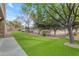 Expansive backyard with manicured artificial turf and rock landscaping at 3777 E Latham Ct, Gilbert, AZ 85297