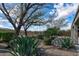 Expansive backyard displaying desert landscaping, lush plants, and a view of the surrounding area at 5723 E Jake Hvn, Cave Creek, AZ 85331