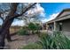 Lush backyard showcasing desert plants, meticulous landscaping, and an ideal outdoor space at 5723 E Jake Hvn, Cave Creek, AZ 85331